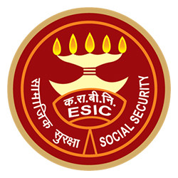 ESI Corporation